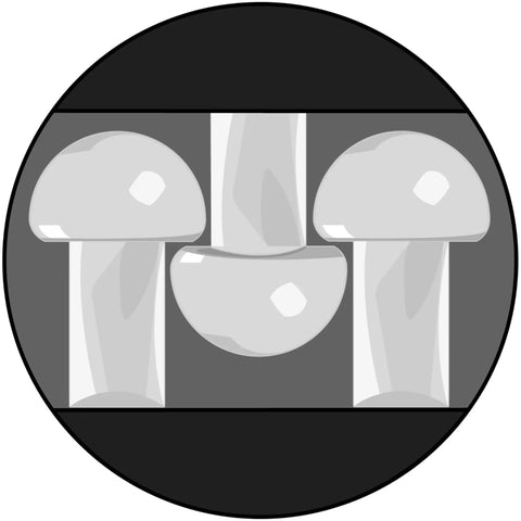 Dual Lock Low Profile Reclosable Fastener Tape 5/8 Inch By 10 Feet Clear Dang Solid Grip Strips displayed with three mushroom shapes.