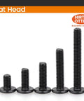 Heavy Duty M4 X 10Mm Hex Socket Cap Screws With Flat Round Head And Matte Black Oxide Finish Forged From Solid 304 Stainless Steel, assorted sizes