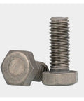 10 Pack M10 Titanium Hex Bolts 40mm Ta2 Grade Heavy Duty Fasteners Rust Proof Din 933 Standard side view of two bolts