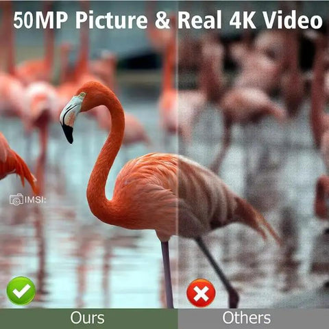 Beast Mode Mini Solar Trail Camera Cranking Out Crisp 50MP 4K Wildlife Footage And Dead Easy Solar Power With Reliable Battery Backup For Seamless Woods Patrol showing comparison of 50MP and 4K video quality.