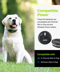 Top Shelf 6V Lithium Battery Pack Of Two For Electric Dog Fence Collars And Wireless Pet Containment Systems Long Lasting Reliable Training Gear No Sweat Daily Use with dog and batteries.