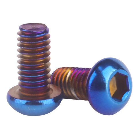 Kickass Titanium Finish M6 Stainless Steel Hex Bolts And Socket Screws For Motorcycle And Car Customs Hella Tough And Corrosion Resistant Burnt Blue Heads Pack Of Ten, close-up of two screws.