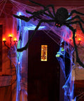 Massive 200 Inch Halloween Spider Web Plus 59 Inch Giant Fake Spider Epic Yard Haunt Decor Set With Realistic Arachnid by front door