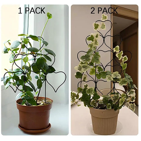 Stackable Metal Garden Trellis Set for Indoor and Outdoor Climbing Plants Dope 3 Pack Plant Support for Vines Ivy and Flowers