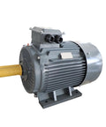 Beefed Up Heavy Duty Permanent Magnet Synchronous Variable Frequency Drive Motor For Three Phase Servo Systems YYT132M 22KW 3000RPM