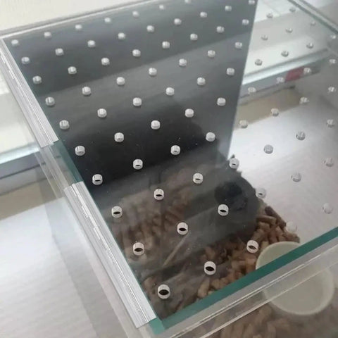 4 Pack Clear Acrylic Continuous Piano Hinges 7.87 X 1.65 Inch Transparent Folding hardware on glass panel with holes for easy access.