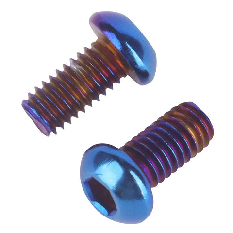Kickass Titanium Finish M6 Stainless Steel Hex Bolts And Socket Screws For Motorcycle And Car Customs Hella Tough And Corrosion Resistant Burnt Blue Heads Pack Of Ten, close-up view of two screws.