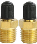 Close-up of 2 Pack Schrader Tank Valves With One Quarter Inch Npt Male Threads For Air Compressor Tanks Brass Body Cap Included Core Heavy Duty