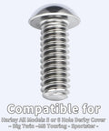 Heavy Duty Torx Titanium Alloy Bolts For Harley Derby Cover 5 Or 6 Hole Pattern with a smooth domed top and threaded design.