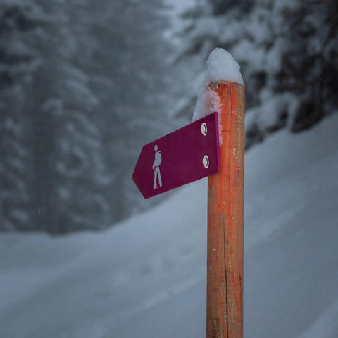 Hiking trail signpost with purple arrow and hiker symbol, covered in snow, in a winter landscape.