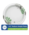 Top Shelf Pathways Heavy Weight Plates In Crisp White Measuring Eight And A Half Inches Ideal For Crushing Big Feasts With Heft You Can Count On And A Clean Aesthetic Offering One Hundred Twenty Five Plates Per Pack displayed with green leaf design.