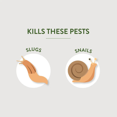 Image showing slugs and snails targeted by Slug And Snail Bait Granules For Lawns Gardens And Greenhouses 2 Pound Pack Kills Slugs And Snails In 3 To 6 Days Safe Around Pets And Wildlife Ideal Outdoor Pest Control For Yard And Garden.