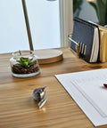 Hella Smooth Gliding Furniture Casters With 360 Degree Swivel Top Plate Mount Antique Bronze Finish on a wooden desk with stationery.