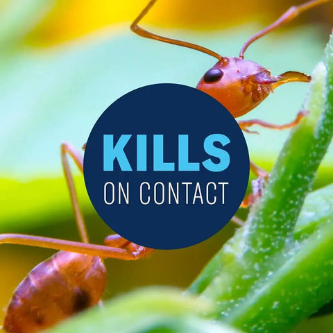 Close-up of a fire ant on green foliage with 'Kills on Contact' text, part of 24 Hour Lawn Insect And Fire Ant Killer Granules For Outdoor Pest Control Kills Fire Ants Fleas Ticks Chinch Bugs And More 10 Pound Bag Fast Acting Lawn Protection