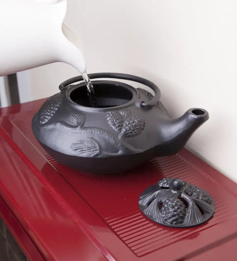 Heavy Duty Pinecone Wood Stove Steamer Kettle Matte Black Cast Iron Fireplace Humidifier with water being poured in.