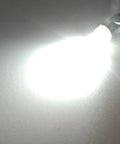 Badass E5 And E5.5 Led Bulbs 24V White Screw Base Replacement For Model Train Layouts Locos Wagons Streetlights Straight Up Heavy Duty Plug And Play 100Lm Knockout Glow Pack Of 10 bright LED bulb glowing on a surface.