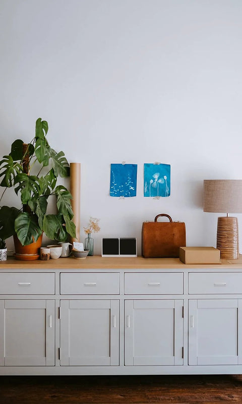 White cabinet with decor items and plants against a plain wall, no visible handles for focus keyword inclusion.