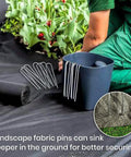 Six Inch Galvanized Garden Stakes 150 Pack, Heavy Duty Anti Rust Landscape Staples shown in garden use