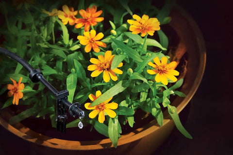 Patio Drip Irrigation Kit With Faucet Connection, 42-Piece Set watering yellow flowers in a planter with one quarter inch tubing