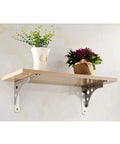 Heavy Duty Shelf Brackets 4 Pack 8 Inch Stainless Steel Wall Corner Supports holding a wooden shelf with plants.