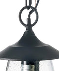 Close-up of Farmhouse Outdoor Pendant Lights With Painted Black Metal And Clear Bubbled Glass Globes Durable Hanging Lantern