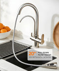 Two Handle Kitchen Faucet With Pull Down Sprayer And 24 Inch Hose Brushed Nickel 3 In 1 Water Filter Purifier in modern kitchen.