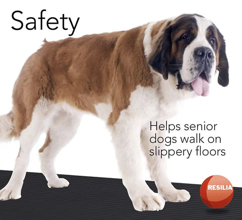 Saint Bernard on black ribbed mat for safety, promoting 24 Inch Wide Black Plastic Utility Runner With Embossed Wide Rib Pattern For Tool Boxes