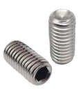 Badass 100 Piece M2 Through M8 304 Stainless Steel Hex Socket Cup Point Set Screw Assortment Kit shown with two hex socket screws.