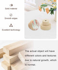 Two Pack Solid Beech Wood Cabinet Knobs 1.4 Inch Round Wooden Drawer Pulls With A Slick Green Forest Finish against wooden background.