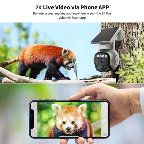Rugged Wireless Solar Security Camera With 4G Lte Upload And Crisp Five Megapixel Clarity For Yards And Work Sites in action, showing animal video feed.