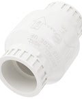 2 Inch PVC Check Valve With Solvent Connections For Backflow Prevention Schedule 40 Stainless Steel Spring Loaded Valve For Cold Water Lines