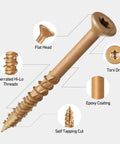 Freakin Strong Size 6 X 1 Inch Deck Screws 300 Piece Set With Torx Drive showing flat head, serrated threads, epoxy coating and self tapping cut.