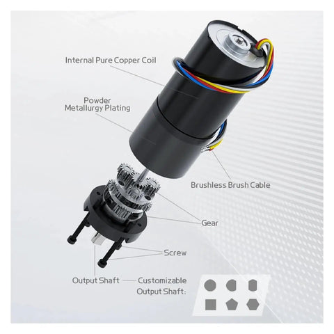 Heavy Duty Brushless Planetary Micro Dc Gear Motor Featuring Forward Reverse Toggle with internal copper coil and output shaft features.