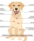 Illustration showing signs of carbon monoxide poisoning in dogs such as deafness, blindness, seizures, and nausea.