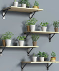 Rock Solid 10 Inch Shelf Brackets 6 Pack Heavy Duty L Bracket Supports For DIY Floating Shelves with plants on display.