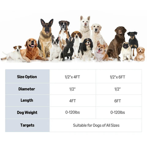 Built Tough Heavy Duty Round Dog Leash Featuring A Comfy Cushioned Grip Handle And Durable Recycled Polyester Rope Perfect For Daily Strolls And Pup Training Adventures In Blue Six Feet with various dogs.