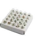 Heavy Duty E10 Miniature Screw Base Light Bulbs 1.5 Volt 0.3 Amp Pack Of Twenty Five in a box for classroom use.