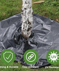 Heavy Duty Black Plastic Sheeting 4 Mil Weed Barrier for Gardens and Landscaping used as ground cover around a tree trunk