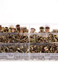 Galvanized Rivet Nut Kit Set Must Have 500 Piece Assortment With M3 M4 M5 M6 M8 M10 Threaded Inserts in box compartments