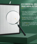 H13 True HEPA Filter for Two Pack Replacement Filters For HSP001 Smart True HEPA Air Purifier with magnifying glass detail