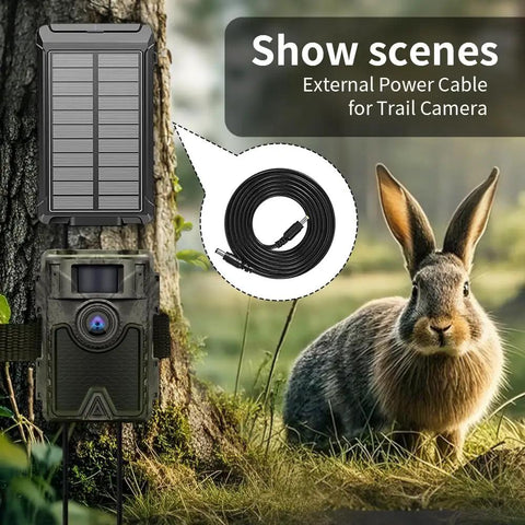 Tough As Nails Chew Resistant Power Cord For Trail Cameras with solar panel and camera, rabbit in background.