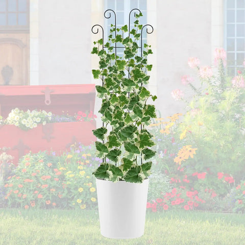 Four Pack 32 Inch Tall Wave Shape Black Metal Garden Trellis Set For Climbing Plants Indoors And Outdoors with ivy in pot