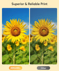 Comparison of sunflower print quality using Five Color XXL Ink Cartridge Value Pack High-Capacity Replacement, showing superior color richness.