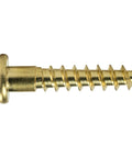 No Nonsense Brass Wood Screws Slotted Round Heads Size Two Deep Coarse Threads For Diy Woodworking And Shop Repair Dead On Hardware Collection showing a close-up of a brass screw.