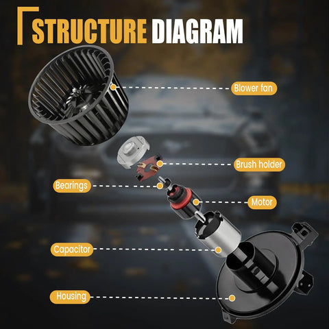 Structure diagram of Front HVAC Heater Blower Motor With Fan, showcasing components including blower fan, motor, and housing.