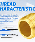 Close-up of Brass Compression Elbow Fitting One Half Inch Tube OD To One Half Inch NPT Male 90 Degree Connector Two Pack For Plumbing Systems, highlighting thread characteristics.
