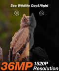 Hella Durable Solar Trail Camera With Crisp Night Vision Motion Activated Game Rig 4K Video 48MP Pics waterproof wildlife tracking gear 36MP resolution owl image