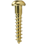 Close-up of No Nonsense Brass Wood Screw Slotted Round Head Size Two with deep coarse threads for DIY woodworking.