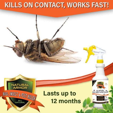 Close-up of dead fly next to product bottle, All In One Indoor And Outdoor Pest Buster For Fleas Ticks Ants Spiders Bed Bugs Dust Mites And More 128 oz.