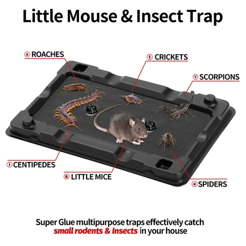 Heavy Duty Mouse And Insect Traps 12 Pack With Non Toxic Sticky Glue Sheets For Indoors and Badass Roach Rat Catcher visible with traps and insects.